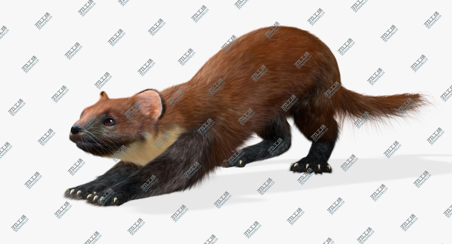 images/goods_img/2021040163/Marten (Animated,Fur)/4.jpg